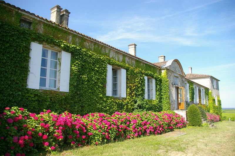 Chateau D'Arche, Grand Cru Classe De Sauternes Zewnętrze zdjęcie