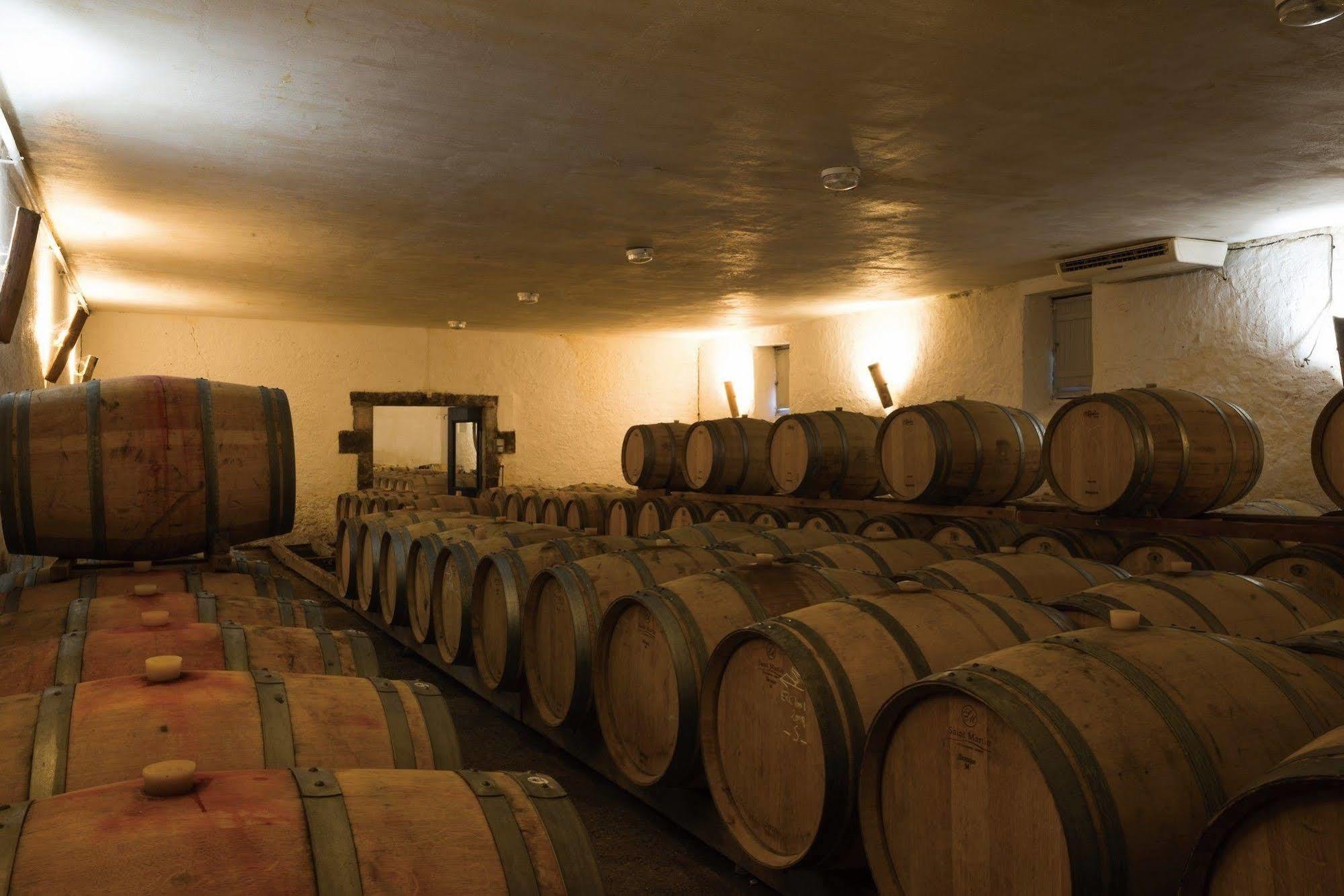 Chateau D'Arche, Grand Cru Classe De Sauternes Zewnętrze zdjęcie