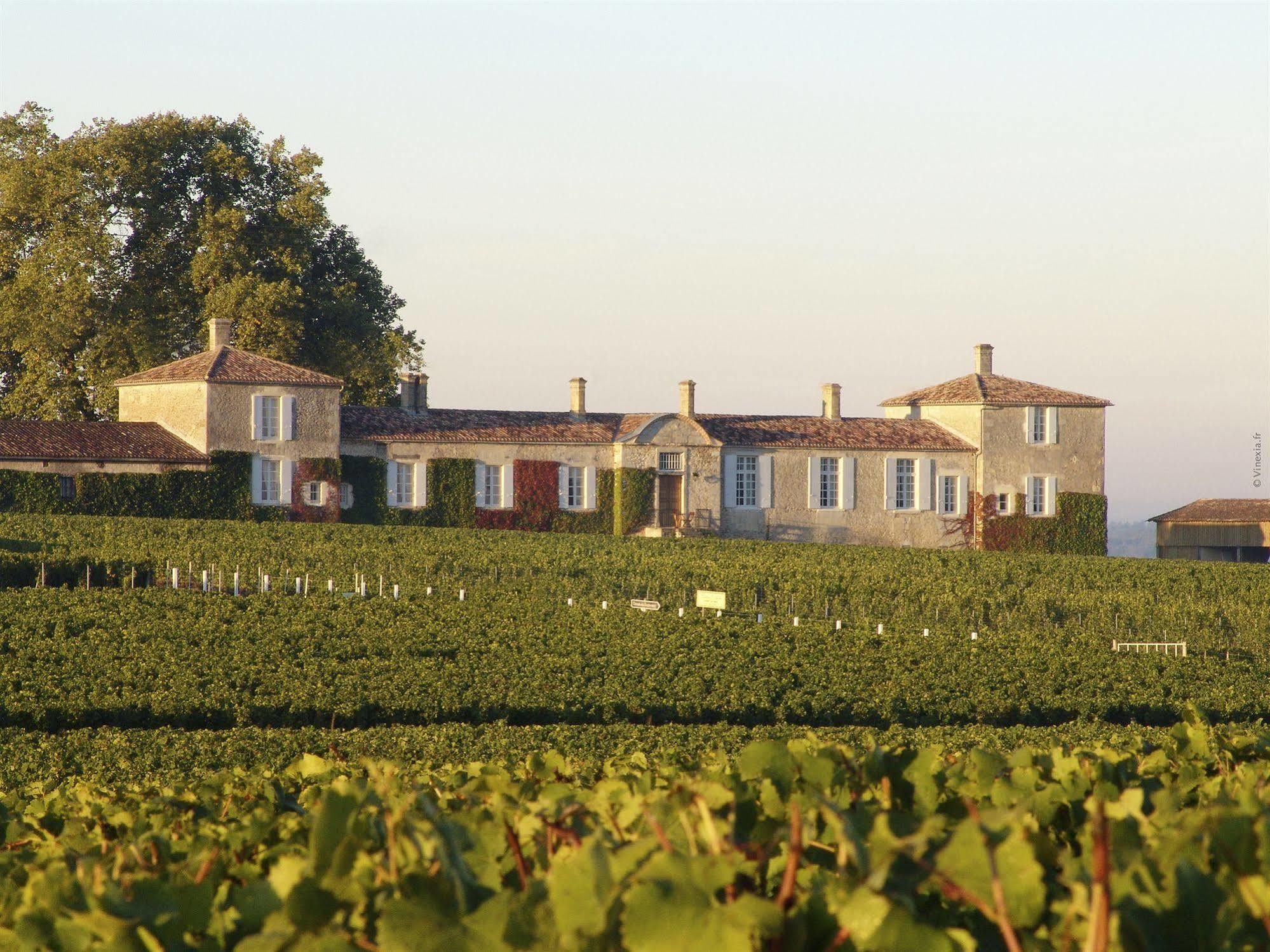 Chateau D'Arche, Grand Cru Classe De Sauternes Zewnętrze zdjęcie
